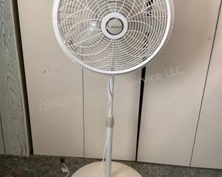 Pedestal fans