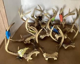 Antlers