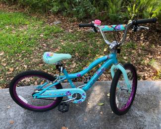 SCHWINN Deelite girls bike reverse side.