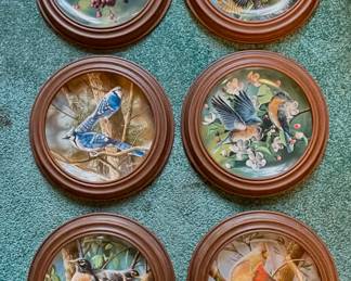 - Collection of (6) decorative collector plates titled "Birds of Your Garden" by Edwin M. Knowles, featuring artwork by Kevin Daniel