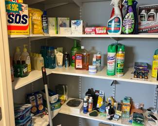 LOTS of cleaning items, sponges, floor cleaners, body washes.