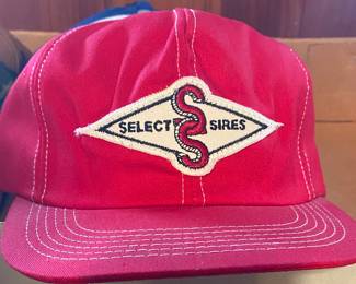 Select Sires