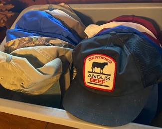 Angus Beef