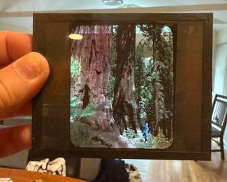 vintage photographic film slide