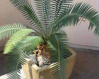Last Plant I Promise