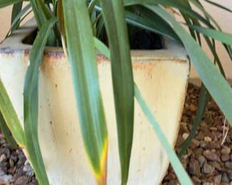 Some More Outdoor Plant Decor