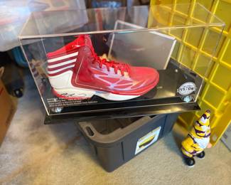 . . . autographed Andre Drummond basketball shoe