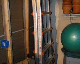 Ladder