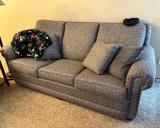 . . . great neutral-colored couch