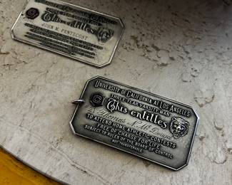 Sterling Silver Lifetime UCLA passes.