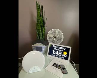Lot 3664 Sony Dream Machine Small Allaire Fan Wake Up Light Digital Day Clock Faux Plant