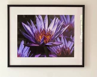 Lot 3602 Lotus Flower Photograph Wall Art