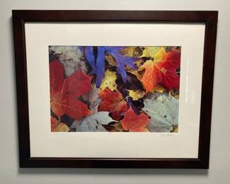 Lot 3520 Curtis Krueger Autumn Colors Signed Photographic Leaves Print Wall Art