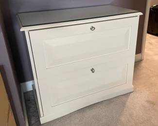 Lot 3666 Storage File Cabinet