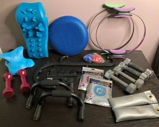 Lot 3560 Physical Therapy Exercise Equipment Pilates Rings, Selfmassage tools, weights