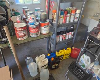 Cleaning supplies and paint and more