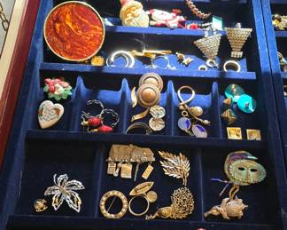 costume jewelry brooches, earrings, necklaces, and bracelets