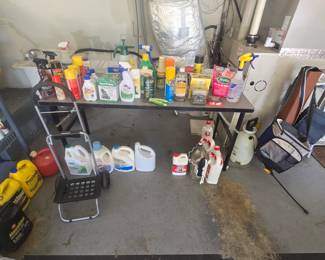 Cleaning supplies and paint and more