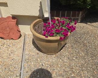 heavy duty terra cotta planter with flowers