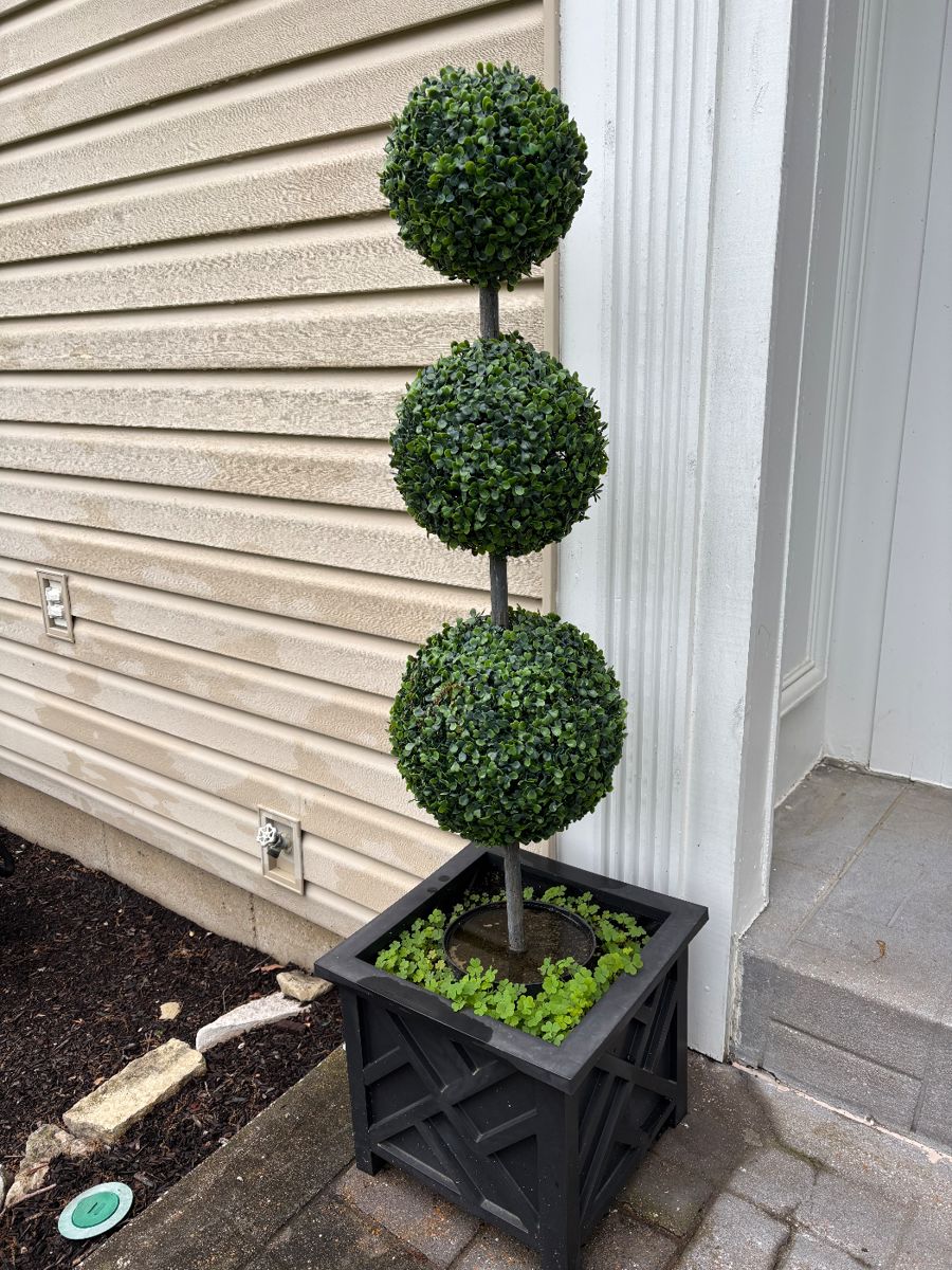 PAIR OF TOPIARIES