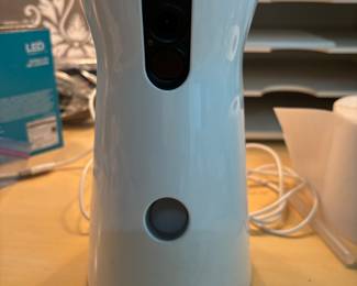 DOG CAMERA