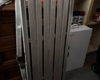 DRY WALL LADDER