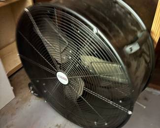 FAN