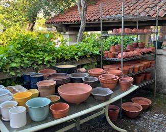 Terracotta and ceramic pots