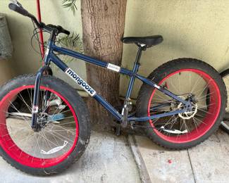 Sand bike