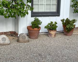 Plants and Faux rock speakers
