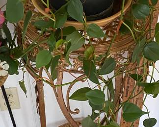 Wicker Plant Holder