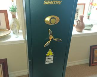 Sentry gun safe