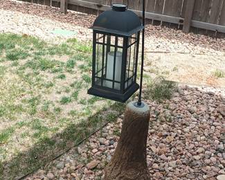 Lamp on a log