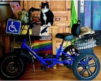 trike
