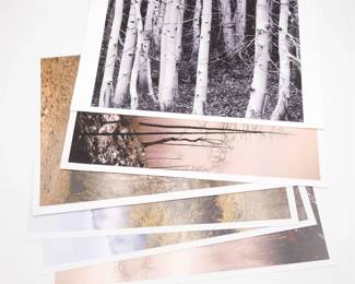 Collection Of 6 Photo Prints Of Landscapes