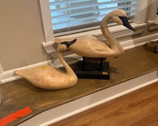 Wood Swans