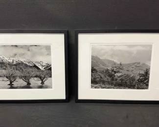 Hand printed Selenium Toned Gelatin Silver Prints By Digiovanni