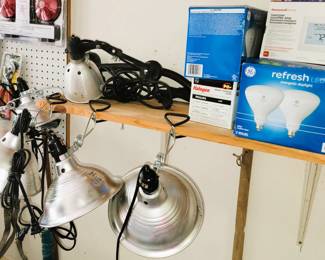 Lights and bulbs and lamps