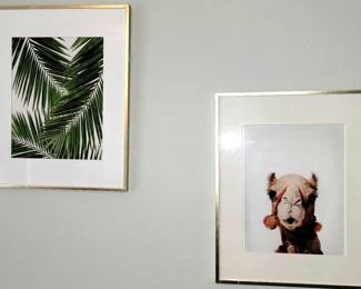 Unique framed photographs