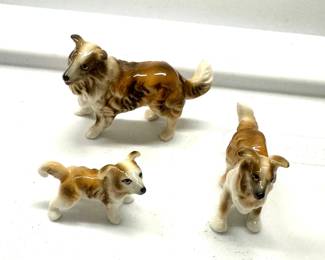 25May 15 2025 08 16pmZLtB