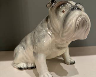 Staffies come in Bulldogs too!