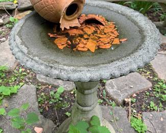 Bird Bath