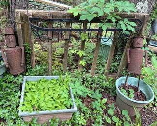 Yard Decor and Plants