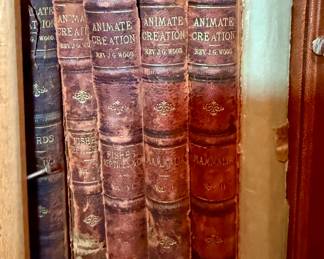 Animate Creation by Rev. J.G. Wood