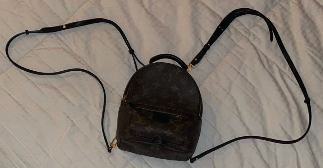 Louis Vuitton monogram Mini Palm Springs
