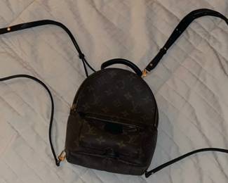 Louis Vuitton monogram Mini Palm Springs