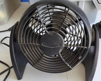 Picture 14 small fan