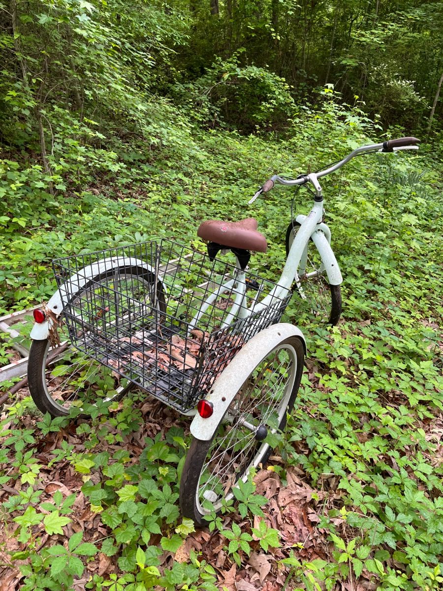 3 Wheeled Bicycle