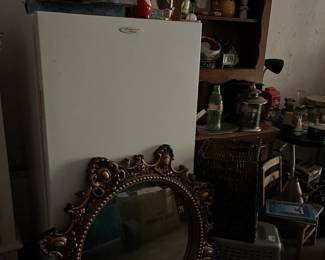 Freezer, mirror, and pet items
