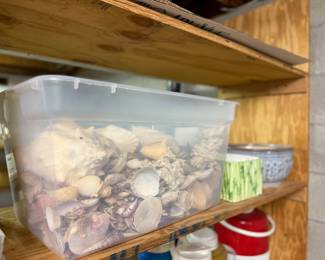Crate of seashells 
